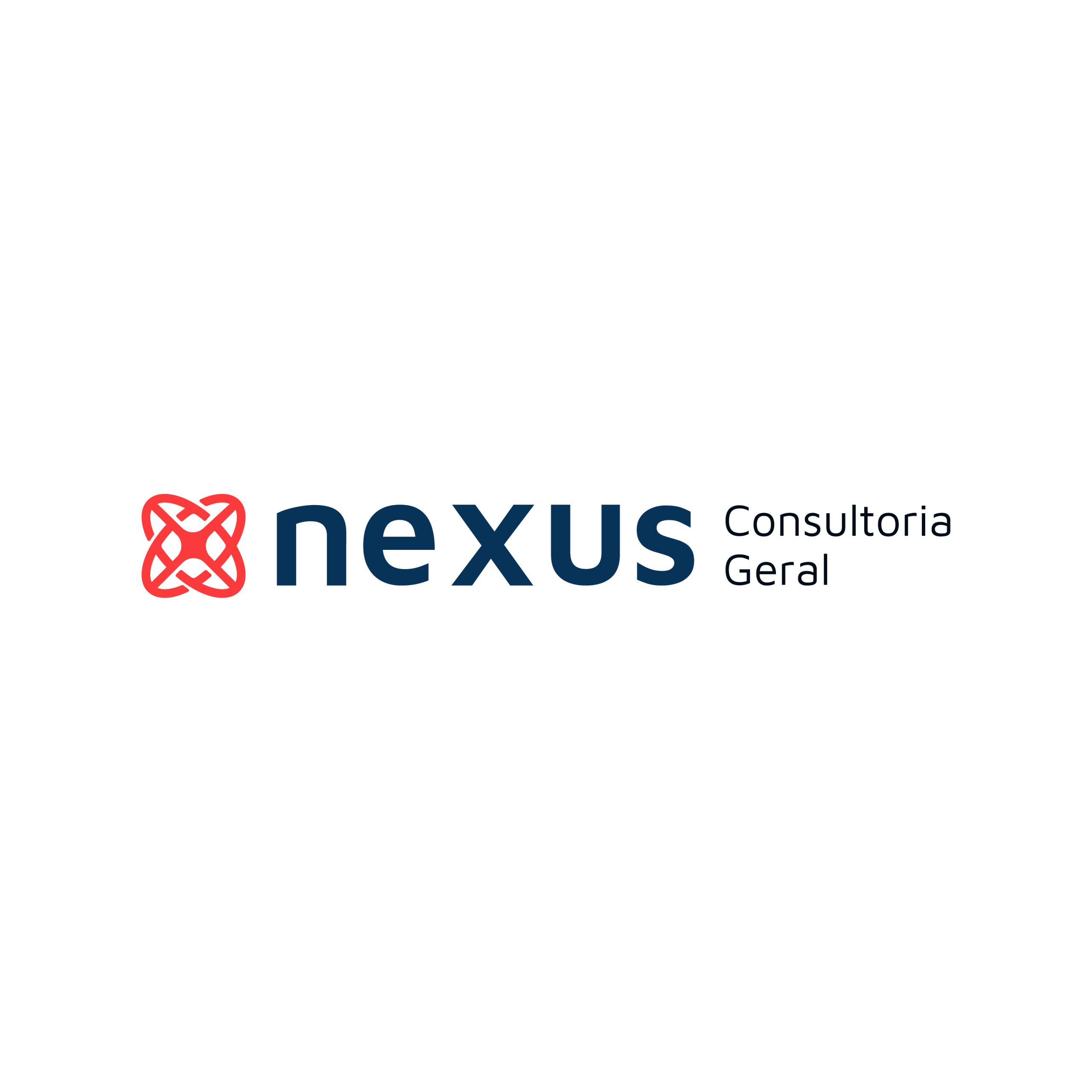 Grupo Nexus - Nexus Consultoria Geral